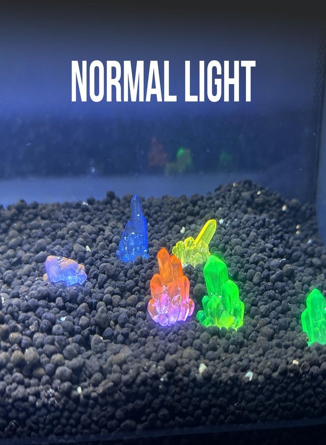 CTWPets Betta Stones Glow-in-The-Dark - Small Aquarium Decor, Luminous Betta Fish Tank Pebbles, Glow Rock Accents | 6 Pack - Image 4